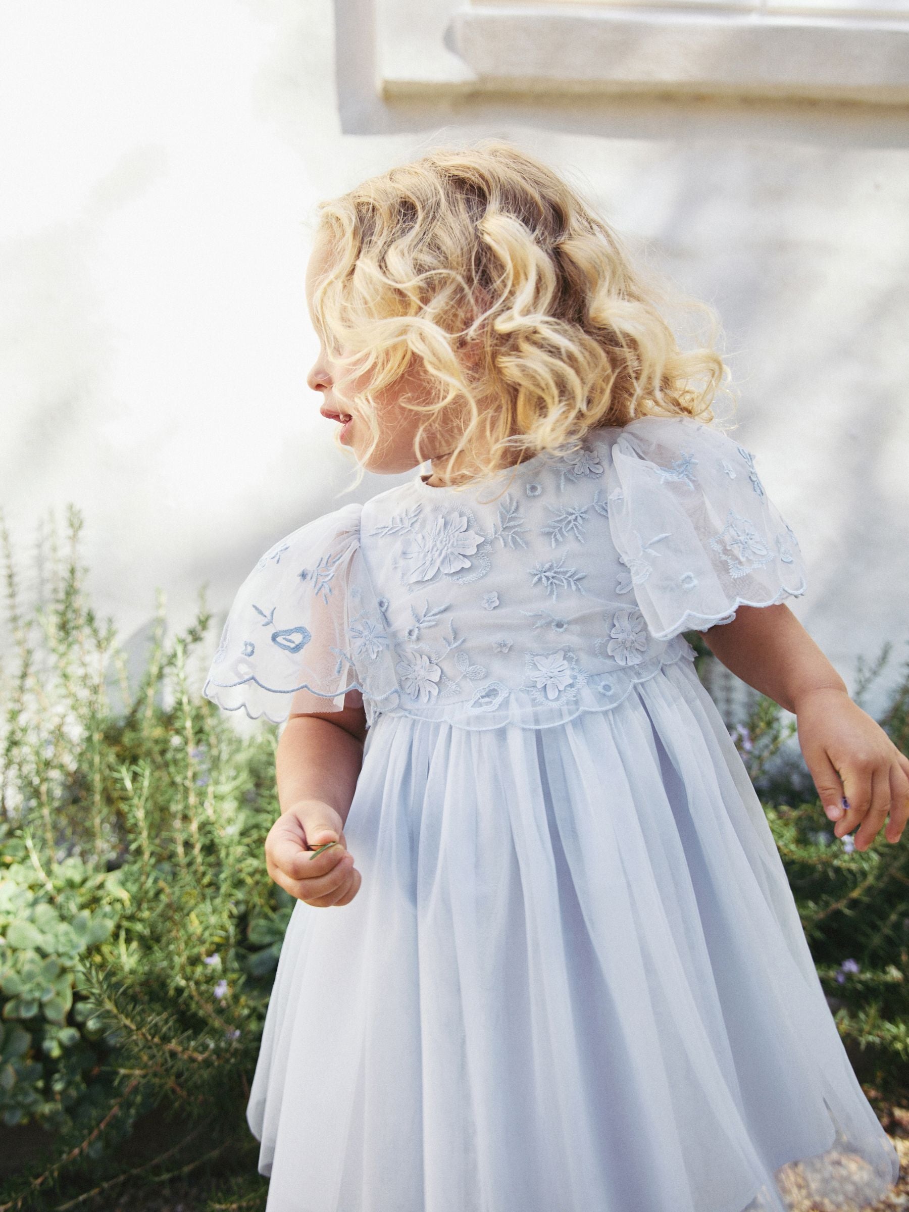 Pale Blue Embroidered Mesh Dress (3mths-8yrs)