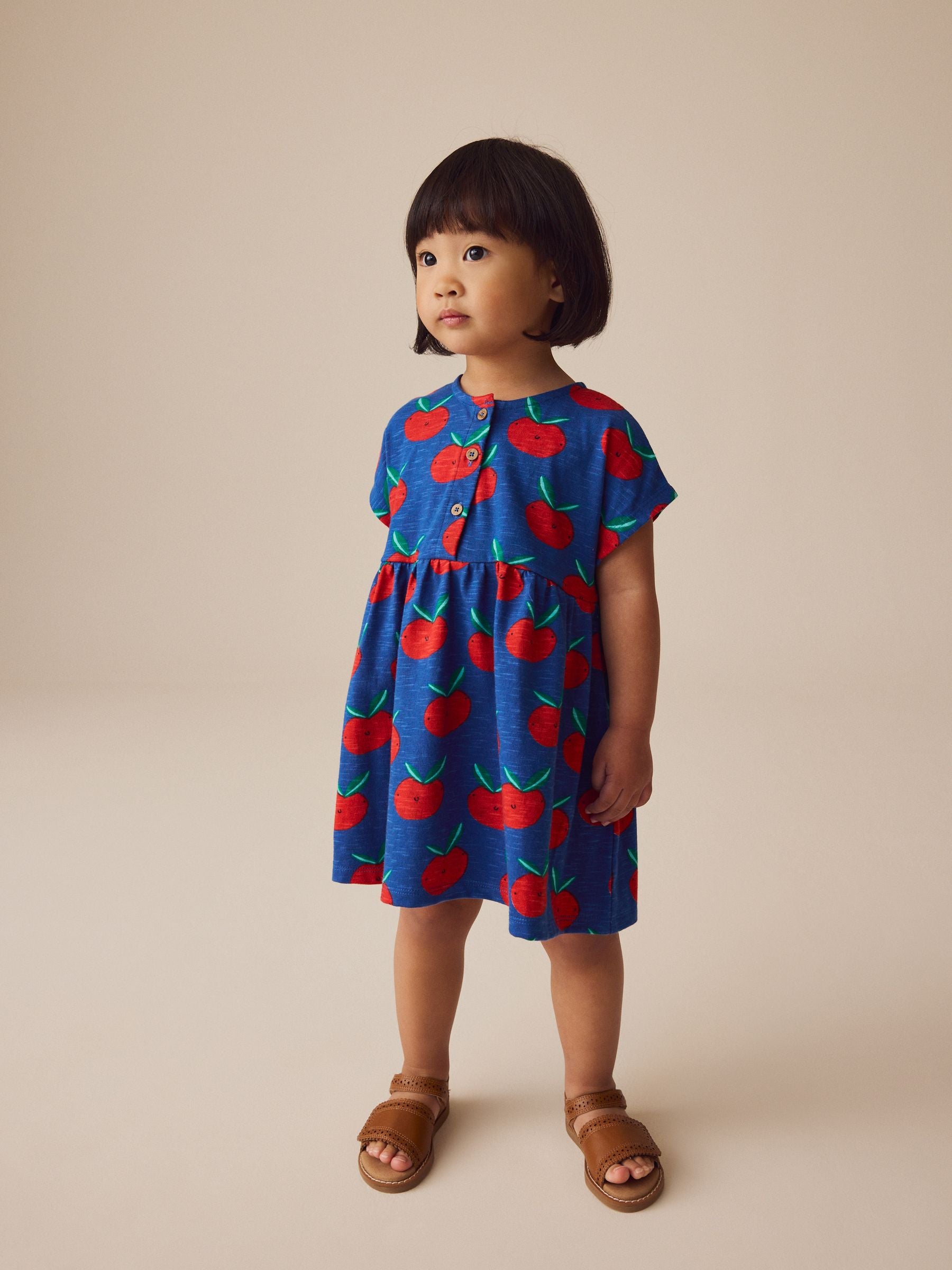Blue Tomato Print Short Sleeve Jersey Summer Dress (3mths-7yrs)