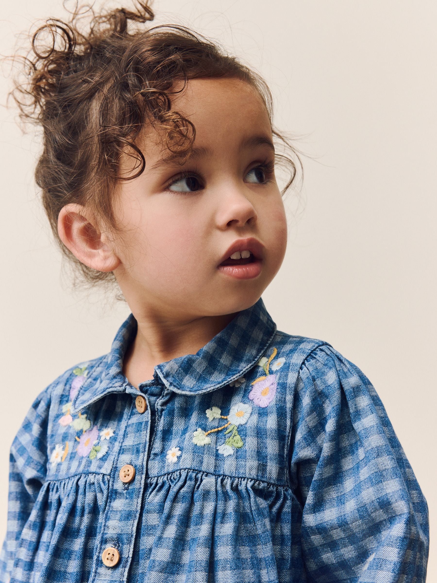 Denim Check Embroidered Long Sleeve Collar Dress (3mths-8yrs)