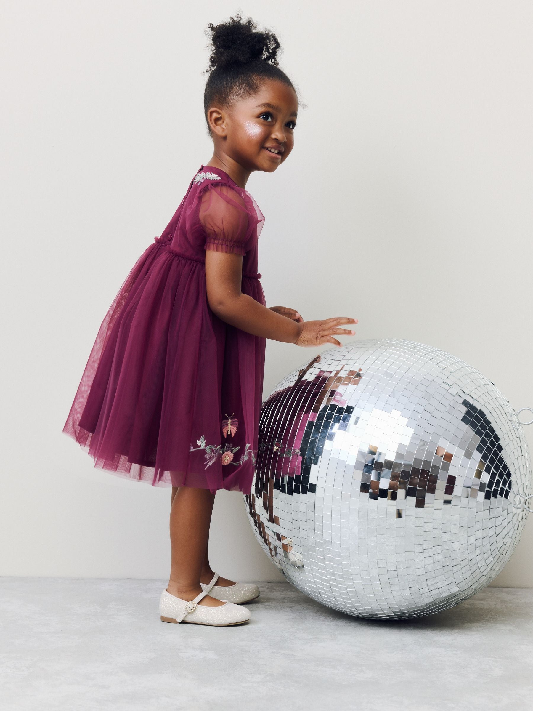 Berry Red Embroidered Mesh Party Dress (3mths-10yrs)