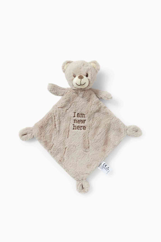 Teddy bear - baby comfort blanket