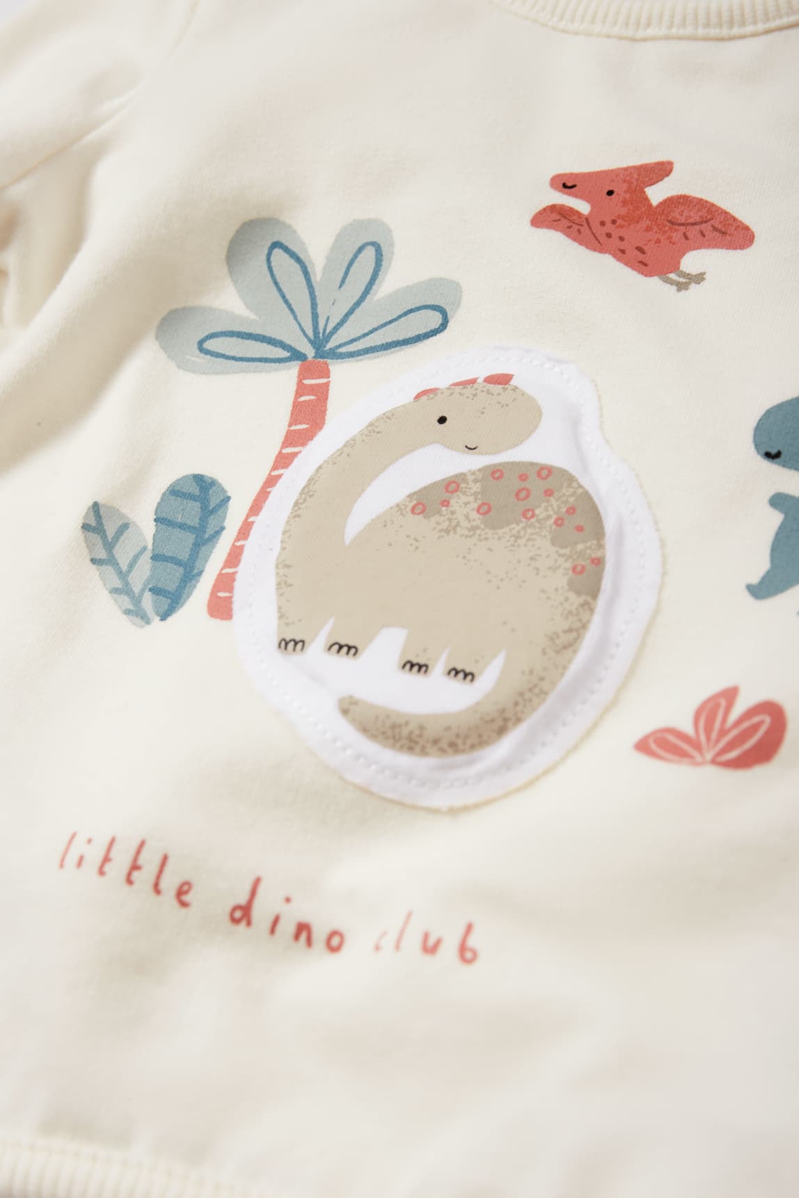 Dinosaur - newborn outfit - 2 piece