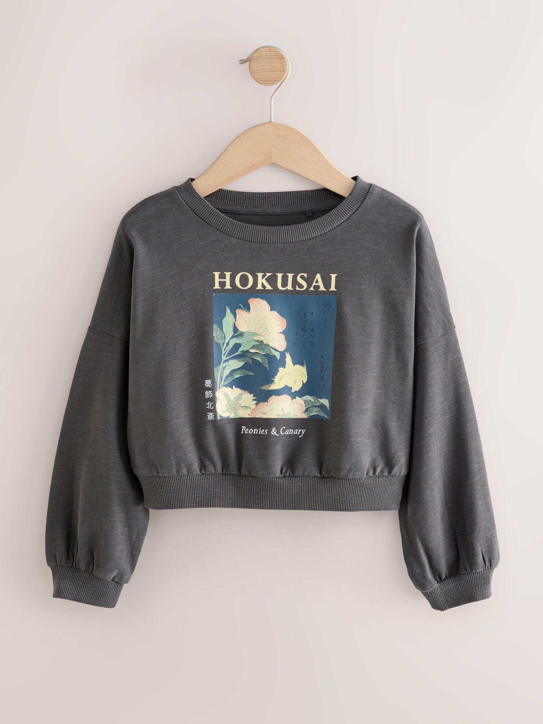 Charcoal Grey Hokusai License Long Sleeve 100% Cotton Sweat Top (3-16yrs)